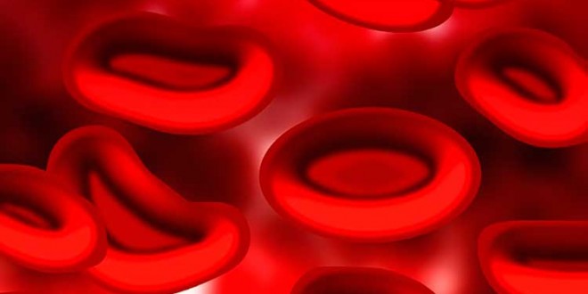 Plasma Rico em Plaquetas